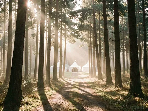Forest Path at Taste of Love Tantra Festival Australia