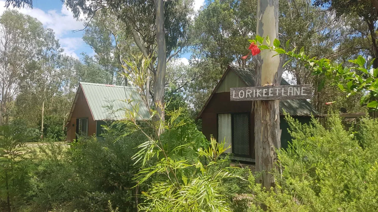 Timber cabins nestled among gum trees at Kilkivan Bush Camping