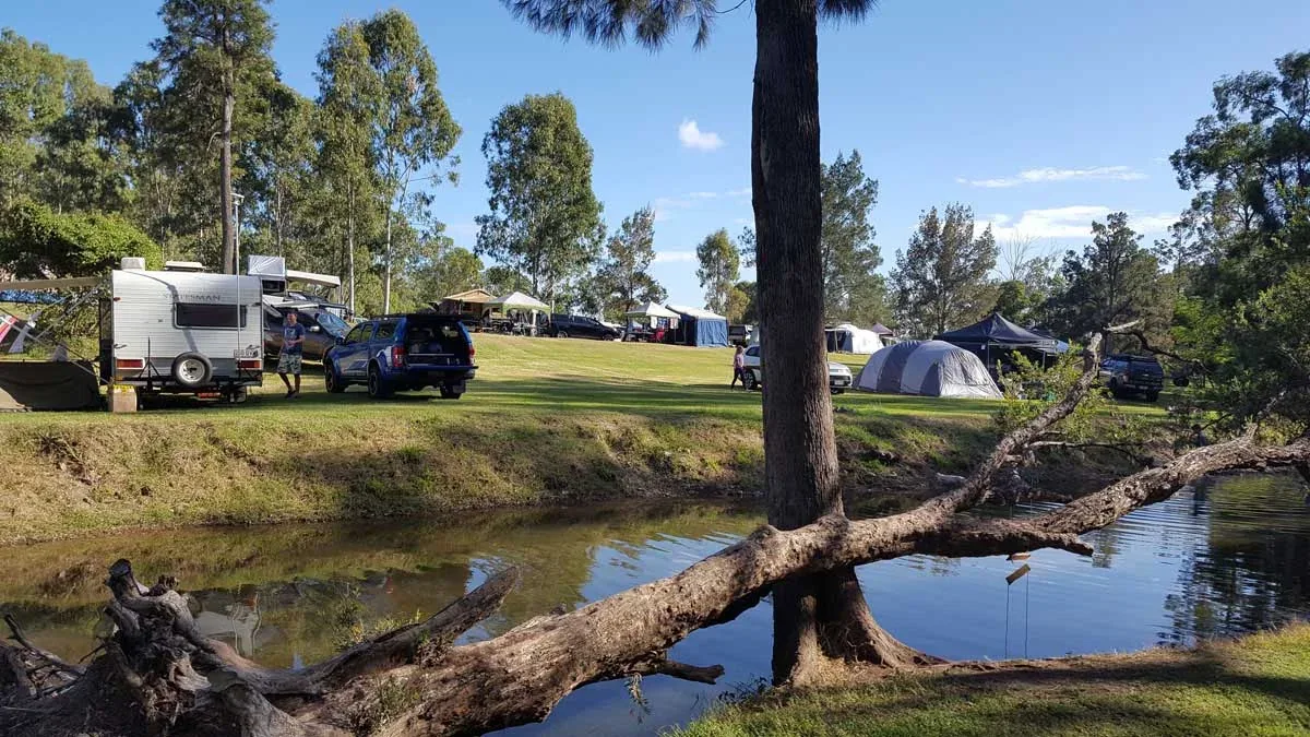 Tents and campervans beside the creek at the campground